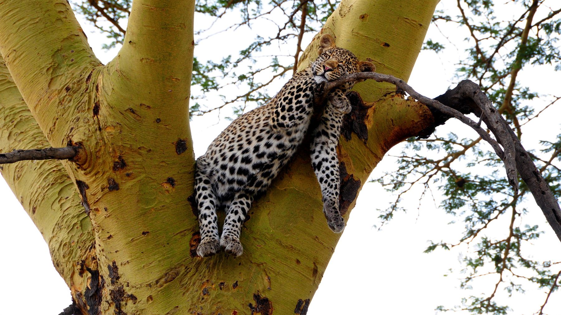 How To Plan A Private Photographic Safari
