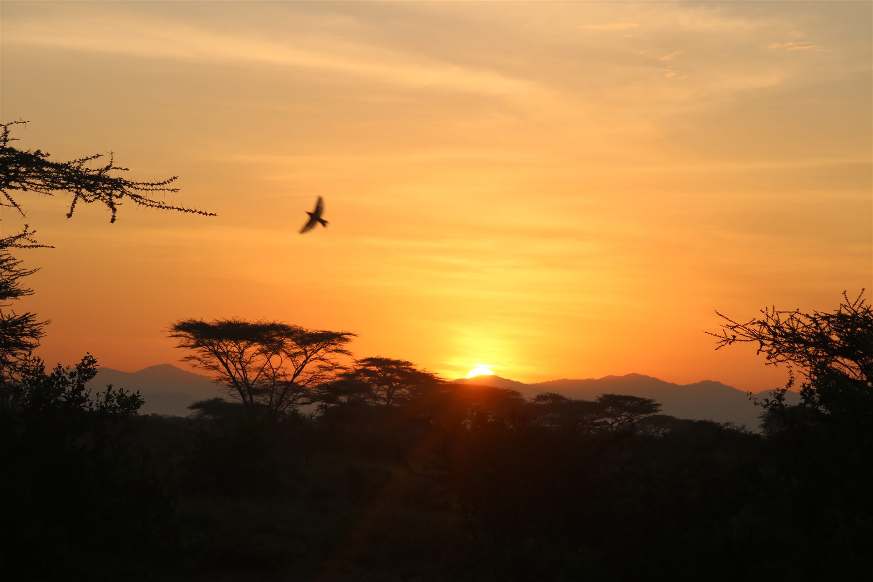Tanzania image