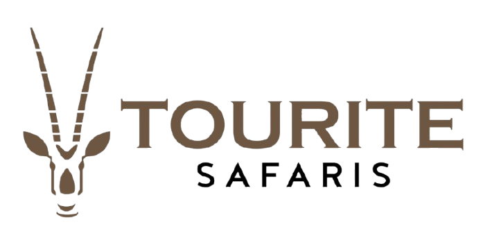Tourite Safaris